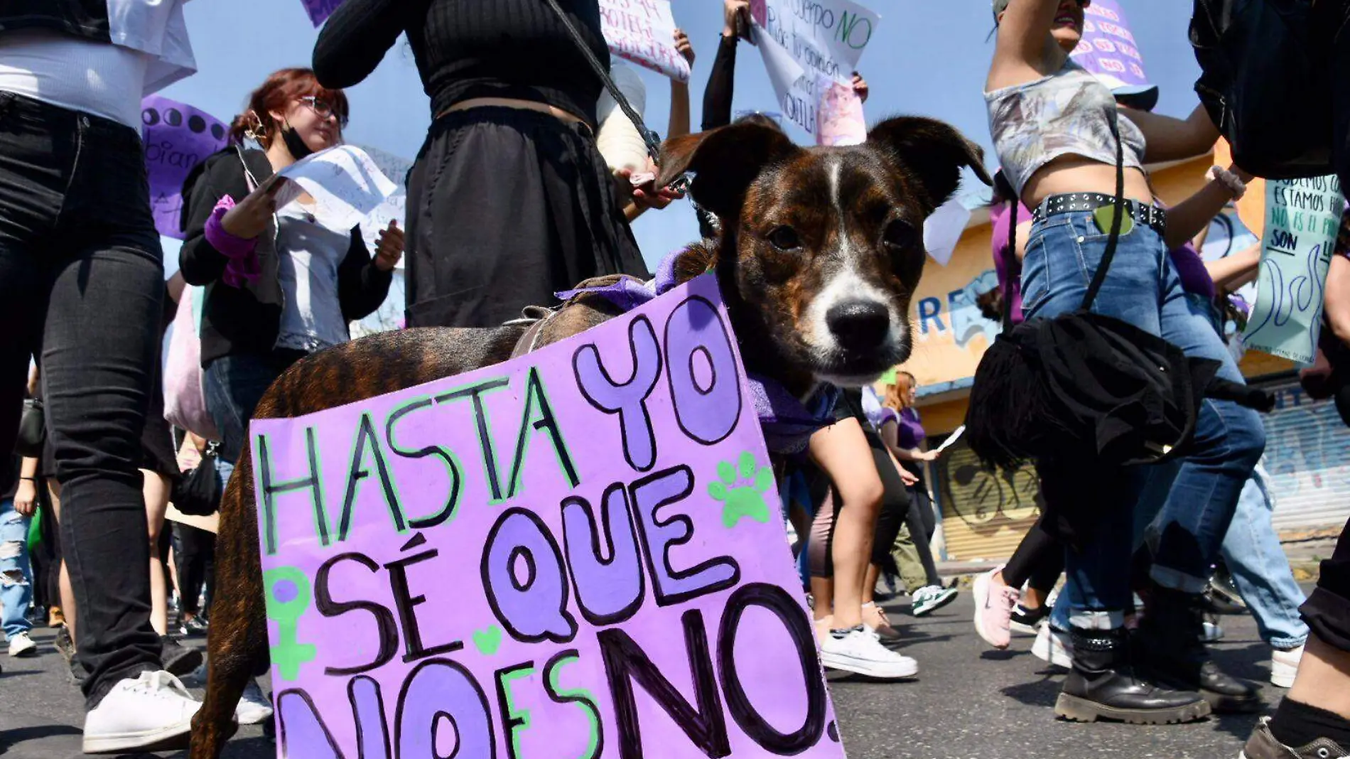 marcha 8m cuernavaca